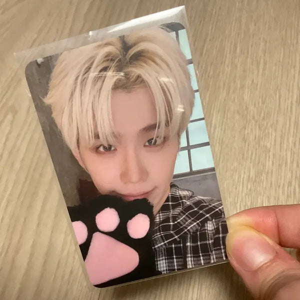 [BUNJANG] ZB1 Kim Taerae Lucky Draw Photocard (Here&Now Cat Version) / 급처가) 제베원 김태래 태래 막콘 포카 미공포 고양이 here&now