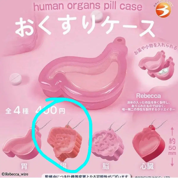 [BUNJANG] Human Organ Shaped Pill Case (Large Intestine) / 인체장기모양 알약케이스 가챠- 옵션:장 판매합다