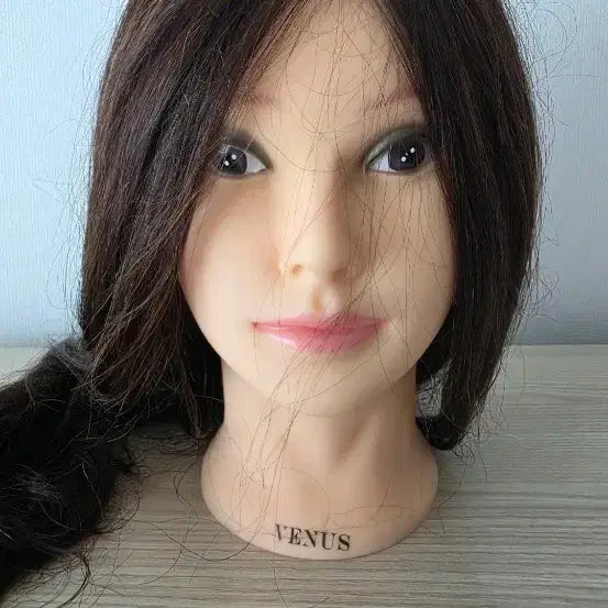 [BUNJANG] Venus Full Wig - Unused - For Hair Styling Practice / 비너스 통가발 미사용 미용연습용