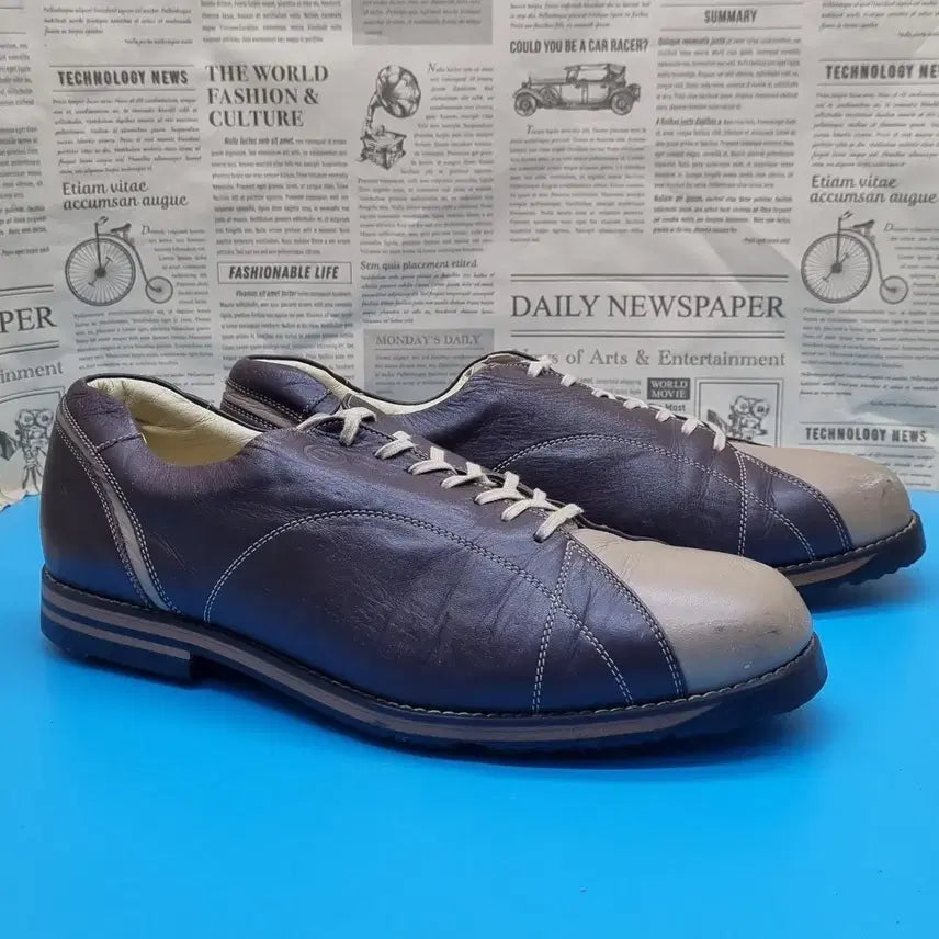 [BUNJANG] Bogner Men's Golf Shoes Size 270 / 보그너 남성 골프화 270