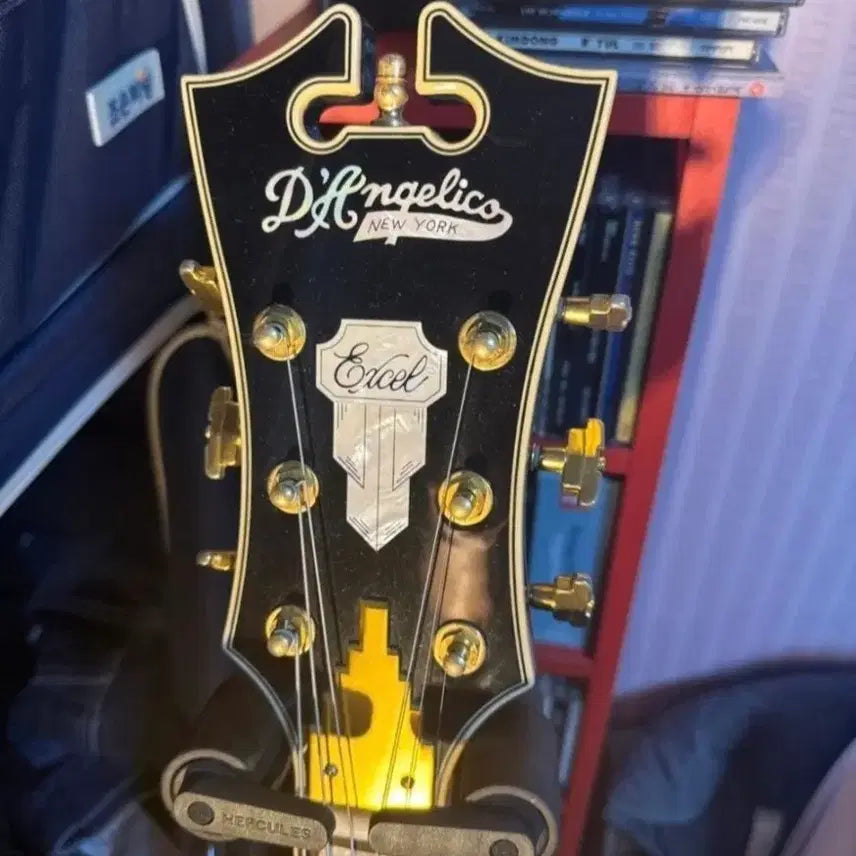 [BUNJANG] D'Angelico Excel A-Style Archtop Guitar / D'Angelico Excel 디안젤리코 할로 아치탑 기타 내용 필독