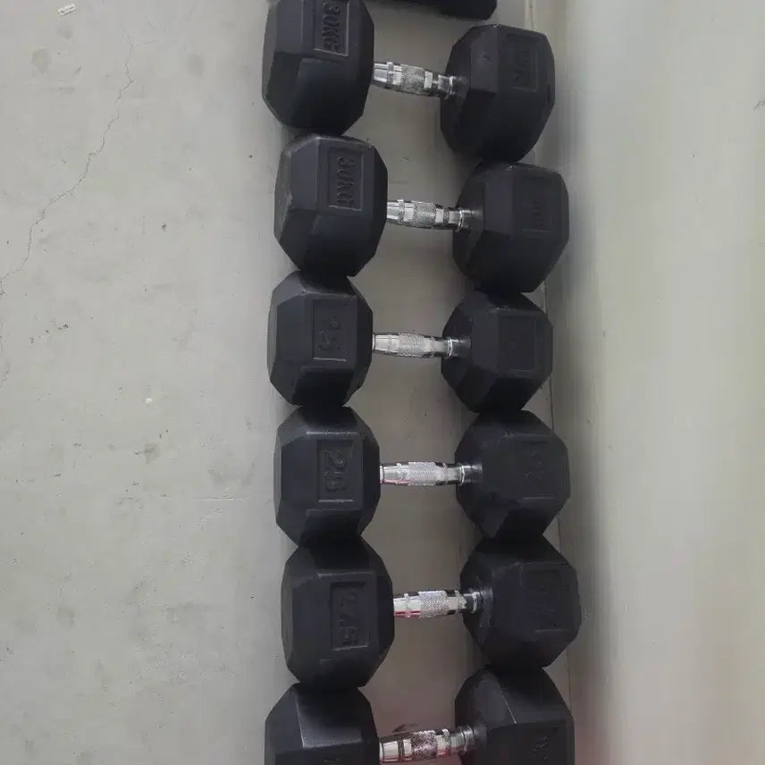 [BUNJANG] High-Weight Dumbbell Set (165kg Total) / 고중량 덤벨세트