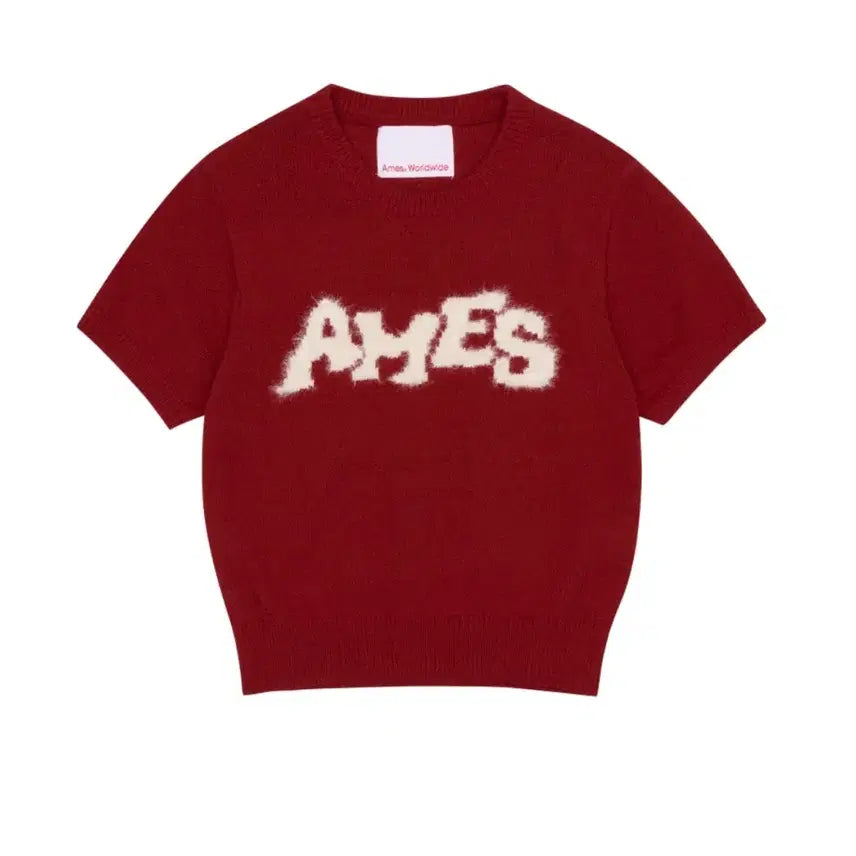 [BUNJANG] AMESS Worldwide Short-Sleeve Knit T-Shirt Red / 아메스 월드와이드 반팔 니트