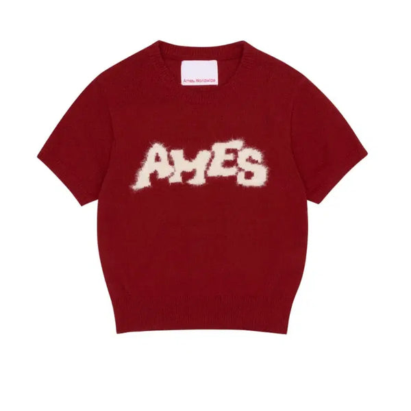 [BUNJANG] AMESS Worldwide Short-Sleeve Knit T-Shirt Red / 아메스 월드와이드 반팔 니트
