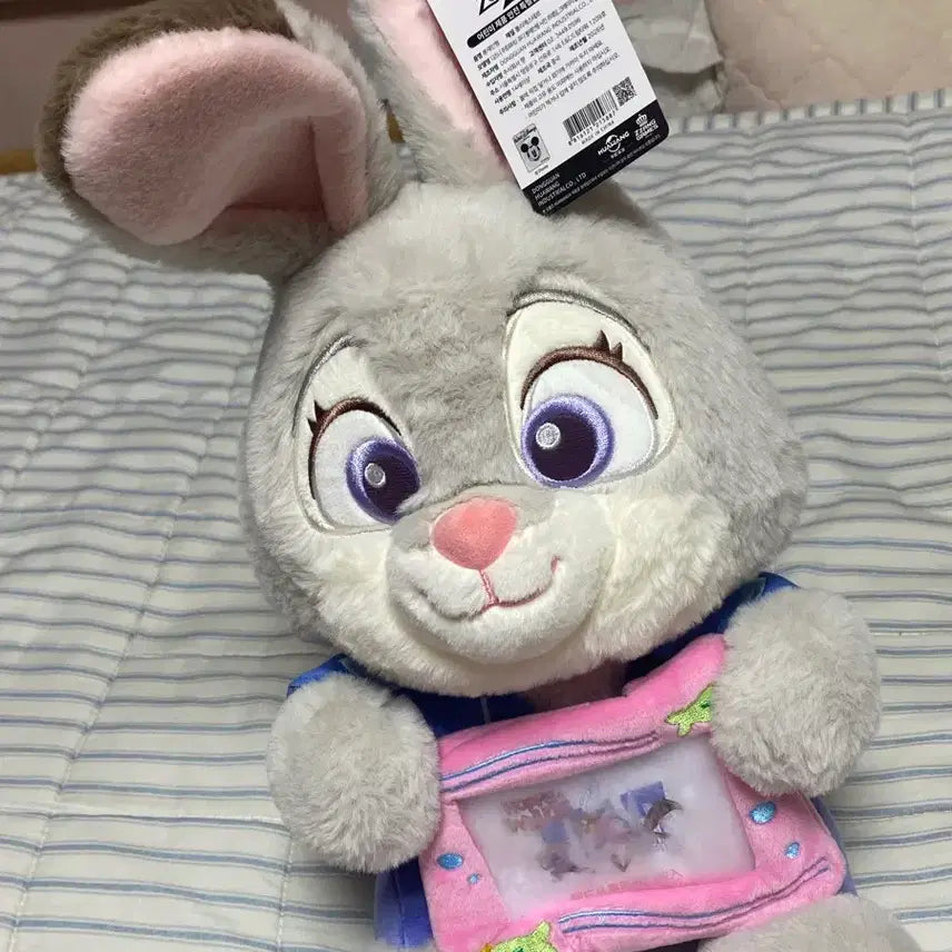 [BUNJANG] Zootopia Judy Hopps Plush Toy with Photo Pocket / 주토피아 주디 인형