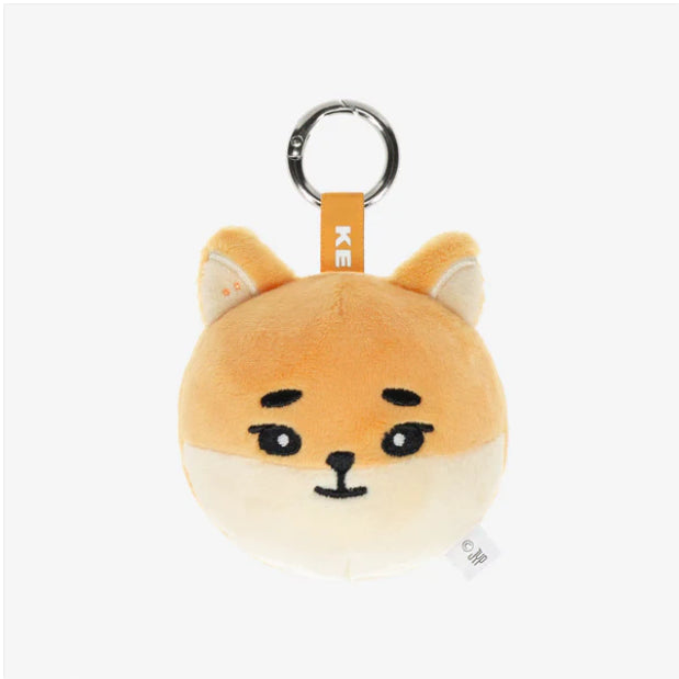 [BUNJANG] DAY6 Face Keychain / 데이식스 페이스 백참 케