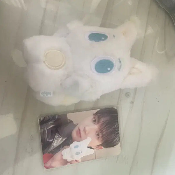 [BUNJANG] NCT DREAM Renjun Injeolmi Doll / 엔시티드림 런쥔 인절미 인형