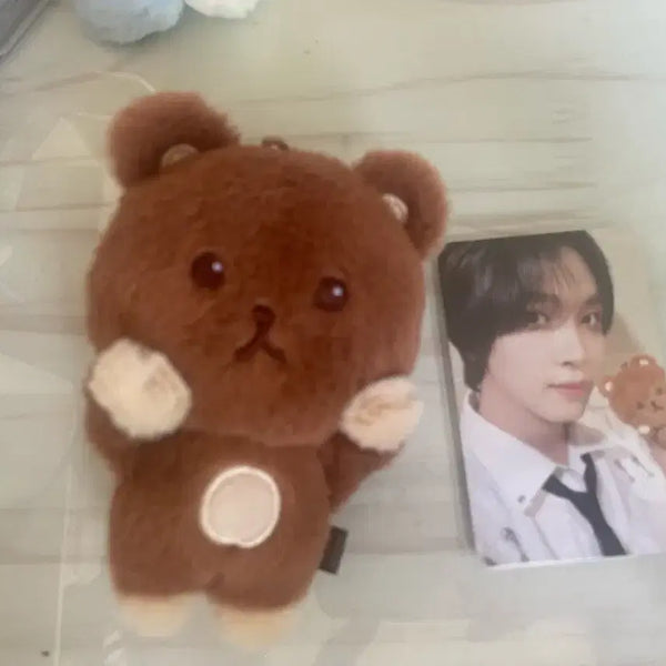 [BUNJANG] NCT DREAM Haechan Ggumi Doll Photocard Set / 엔시티드림 해찬 꾸미 인형