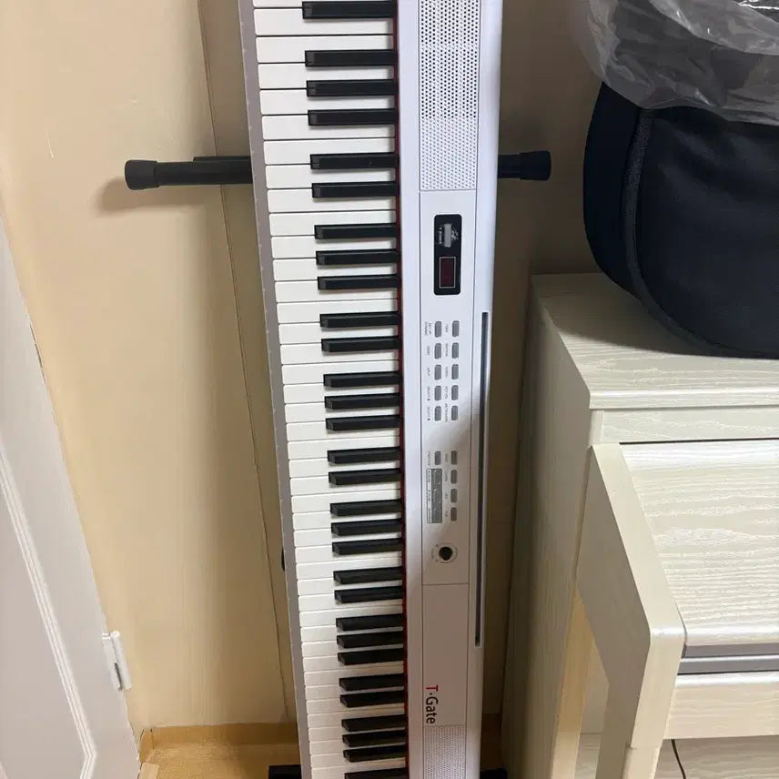 [BUNJANG] T Gate 88-Key Digital Piano / T gate 88건반 키보드 팝니다