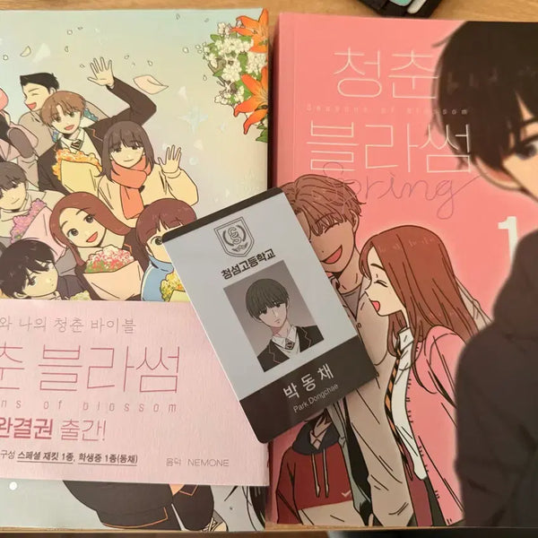 [BUNJANG] Spring Blossom Webtoon Vol. 1 & 12 (Limited Edition) / 청춘블라썸 웹툰 단행본판매 (1권,12권)