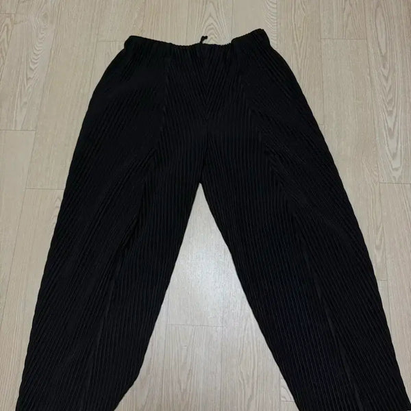 [BUNJANG] Homme Plissé Issey Miyake Pleated Trousers / 옴므플리세 긴바지 3