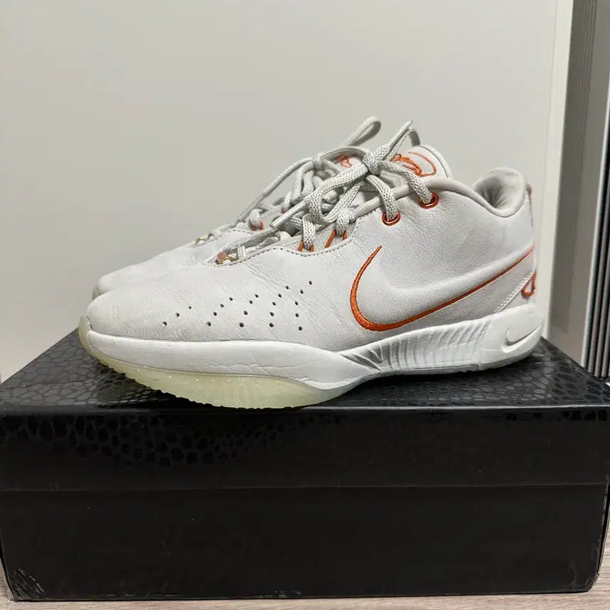 [BUNJANG] Nike LeBron 21 Basketball Shoes (265mm) / 나이키 르브론21 농구화 265사이즈 판매합니다!