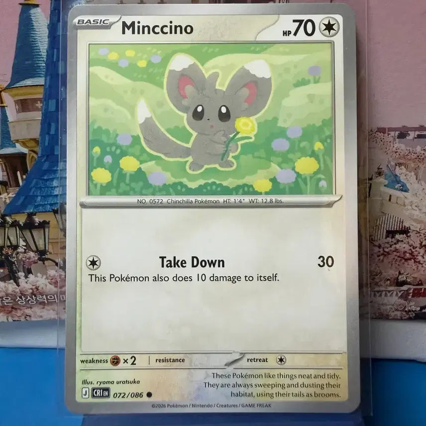 [BUNJANG] North American Pokémon Card Chien-Pao Near Mint / 북미 포켓몬카드 치라치노 A-급