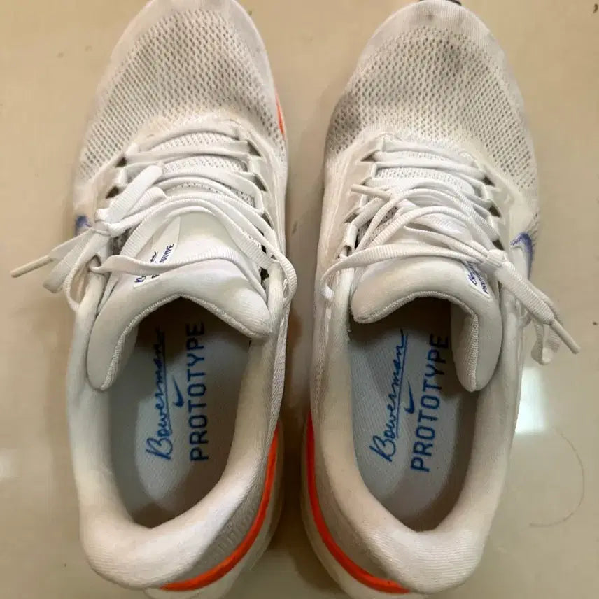 [BUNJANG] Nike Pegasus 41 Blueprint Running Shoes (290mm) / 나이키 페가수스 41 블루프린트 290