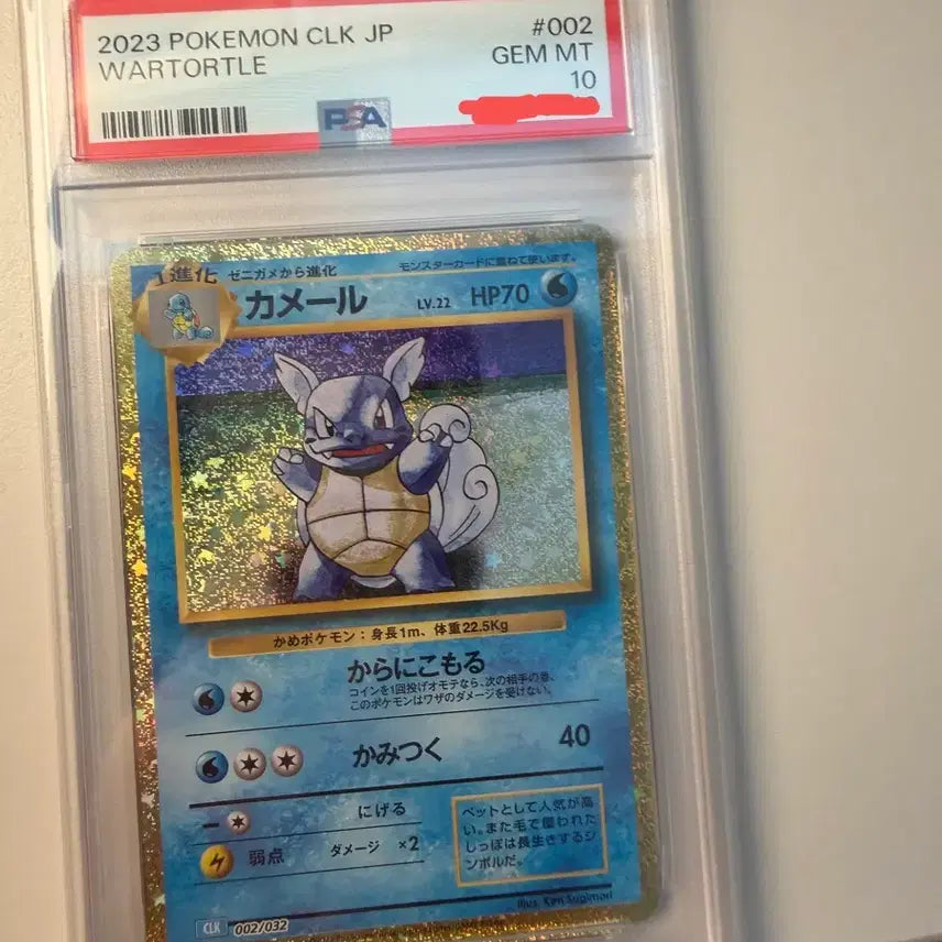 [BUNJANG] Pokémon 'Turtwig' PSA 10 Graded Card / 어니부기 PSA 10