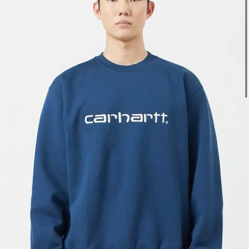 [BUNJANG] Carhartt Sweatshirt Navy / 칼하트 맨투맨 칼하트 스웻셔츠 스퀴드 솔트