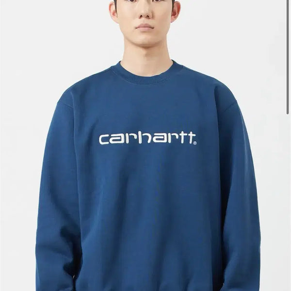 [BUNJANG] Carhartt Sweatshirt Navy / 칼하트 맨투맨 칼하트 스웻셔츠 스퀴드 솔트