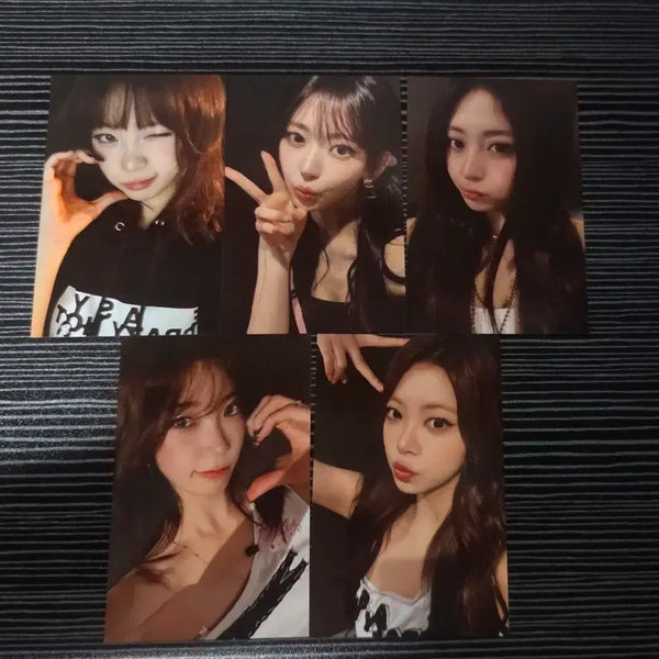 [BUNJANG] LE SSERAFIM EAZY CRAZY HOT CONCERT FEARNOT Zone Photocard Bundle Set / 르세라핌 이지크레이지핫콘서트 피어나존 포카세트