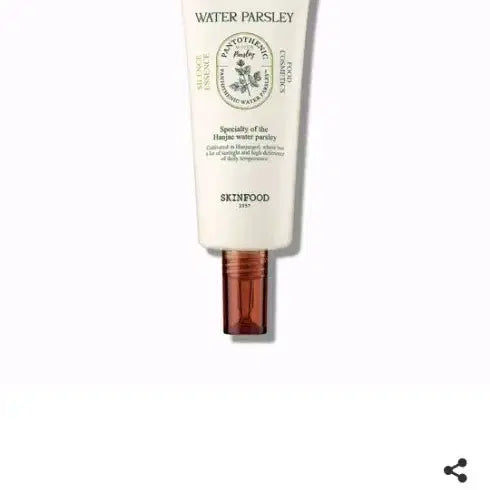 [BUNJANG] SKINFOOD Pantothenic Water Parsley Silence Essence / 스킨푸드 판토테닉 워터 파슬리 사일런스 에센스