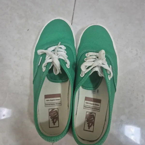 [BUNJANG] Vans Authentic Green 265 Shoes / 반스 어센틱 그린 265사이즈