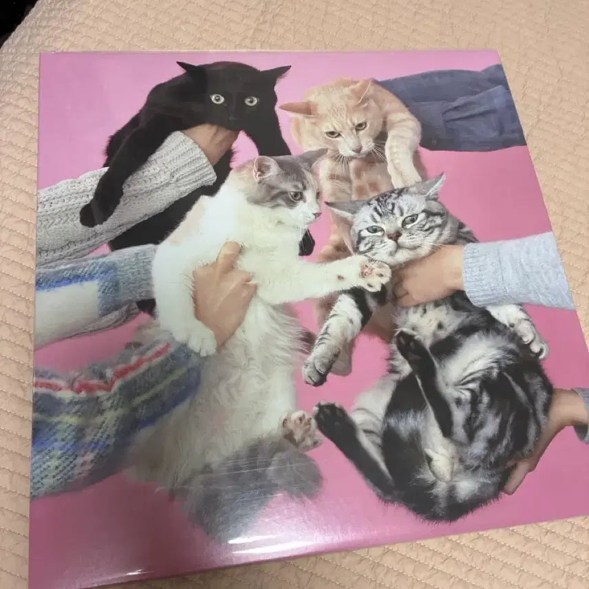 [BUNJANG] Kino-Ko Teikoku (Mushroom Empire) 1st Studio Album LP / 키노코테이코쿠 버섯제국 1집 lp