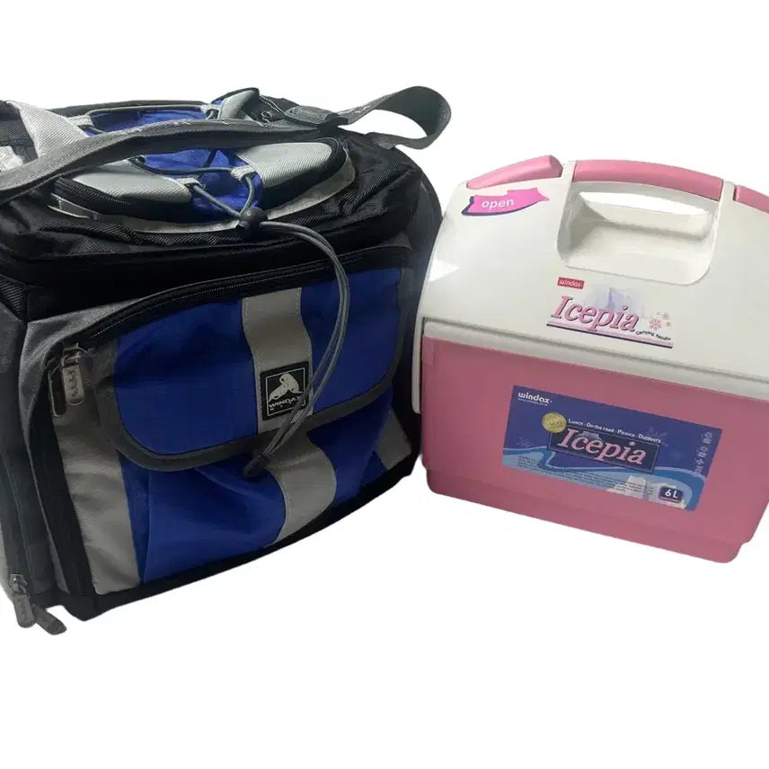[BUNJANG] WINDAX Ice Cooler Bag + 6L Ice Box Bundle Set / 윈덱스(WINDAX) 아이스 쿨러백 + 아이스박스 6L 일괄 판매