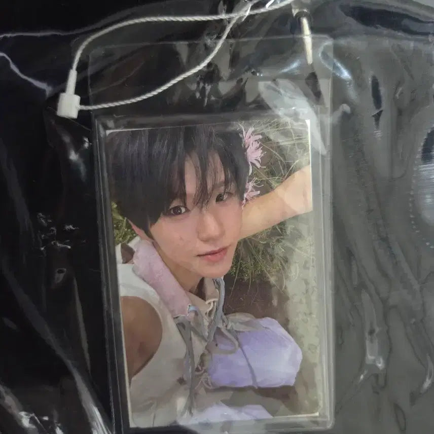 [BUNJANG] NCT WISH Odd To Love Hoodie Photocard Jaehee / 엔시티위시 오드투러브 팝업 후드집업 포카 재희