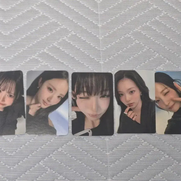 [BUNJANG] fromis_9 Concert Final Day Entry Photocard Bundle Set / 프로미스나인 콘서트 막콘 입장포카 일괄