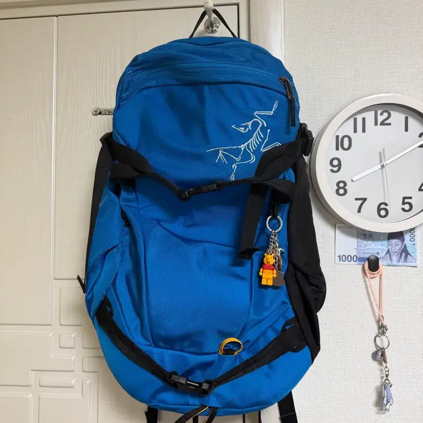 [BUNJANG] Arc'teryx Quintic 28L Backpack Blue / 아크테릭스 백팩 QUINTIC 퀸틱28 백팩 블루 백팩