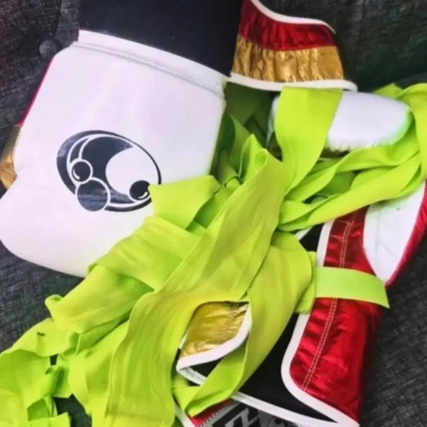 [BUNJANG] Glant 14oz Boxing Gloves and Hand Wraps / 글랜트 14온즈 글러브 및 핸드랩 판매합니다