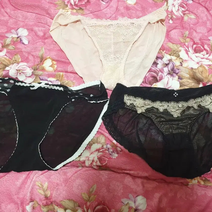 [BUNJANG] Women's Underwear Bundle Set (3 Items) / 여성팬티 (중고) 일본3종 일괄판매2