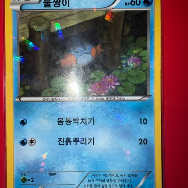 [BUNJANG] Pokemon Card Mudkip Prism Holo XY Ancient Card / 포켓몬카드 물짱이 프리즘홀로  XY 고대카드