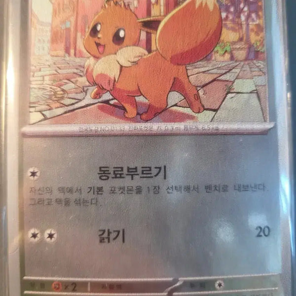[BUNJANG] Pokemon TCG Eevee 2026 Korean League Promo Card (Korean Edition) Sealed / 포켓몬 TCG 이브이 2026 코리안리그 프로모 카드 (한글판) 미개봉