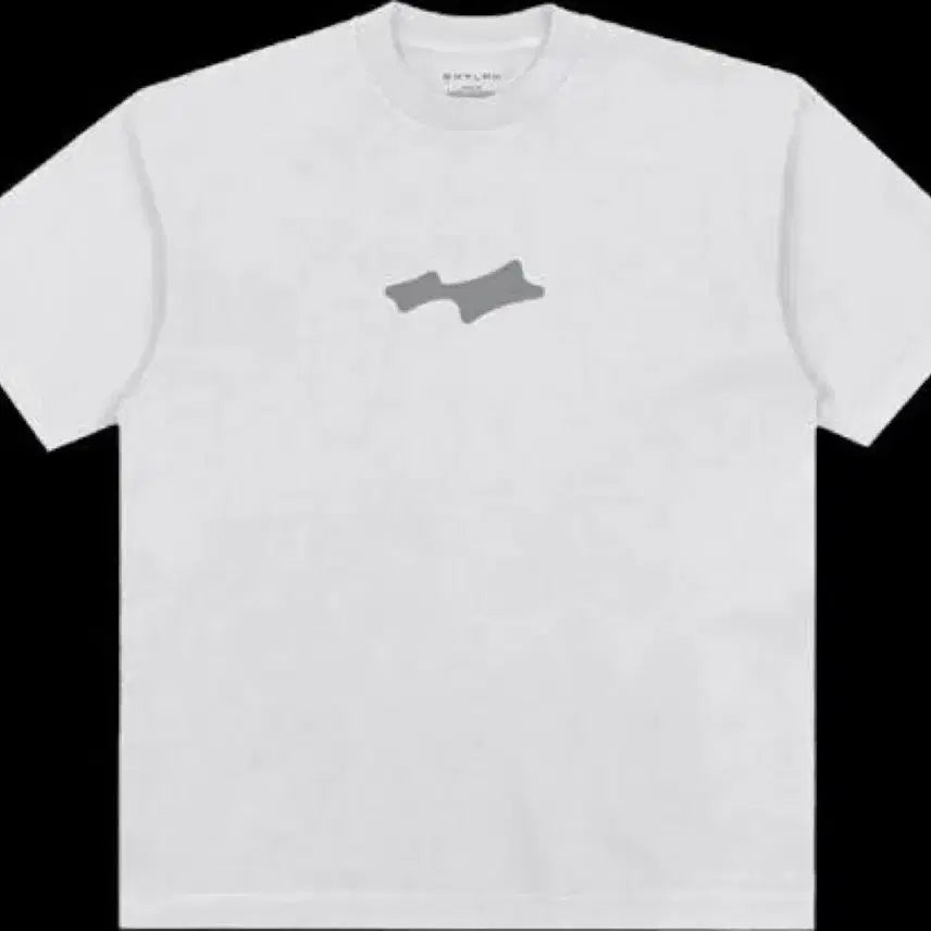 [BUNJANG] Skylark Coachella JB Live T-Shirt Size L / [L사이즈] 스카이라크 코첼라 jb라이브 티셔츠 2
