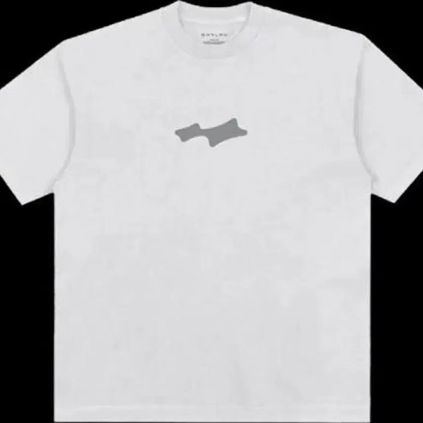 [BUNJANG] Skylark Coachella JB Live T-Shirt Size L / [L사이즈] 스카이라크 코첼라 jb라이브 티셔츠 2