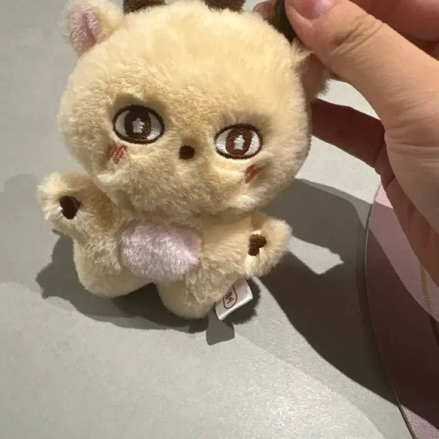 [BUNJANG] Park Ji Hoon (Wanna One) Sosi-mi Doll / {급처} 소심이 박지훈인형