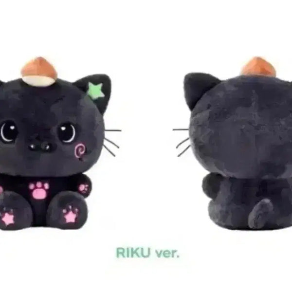 [BUNJANG] NCT WISH Riku Kuri Big Wish Doll 30cm / 엔시티위시 리쿠 쿠리 대왕 위시돌 인형 30cm 양도