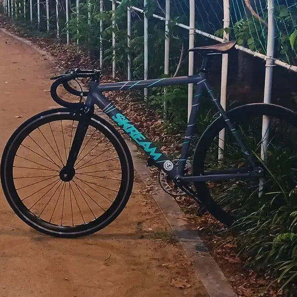 [BUNJANG] Scream Sprint v2 Fixed Gear Bicycle / 스크림 스프린트 v2 픽시 자전거 판대(엔진11 콘스탄틴