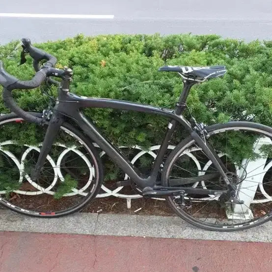 [BUNJANG] TRIGON Tacness3 Road Bicycle / 트리곤 타크니스3 판매만 개급처