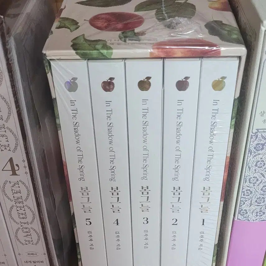 [BUNJANG] Kim Chacha Spring Shade Box Edition w/ First Edition Postcard / [김차차]봄그늘 박스판 판매(초판엽서포함)