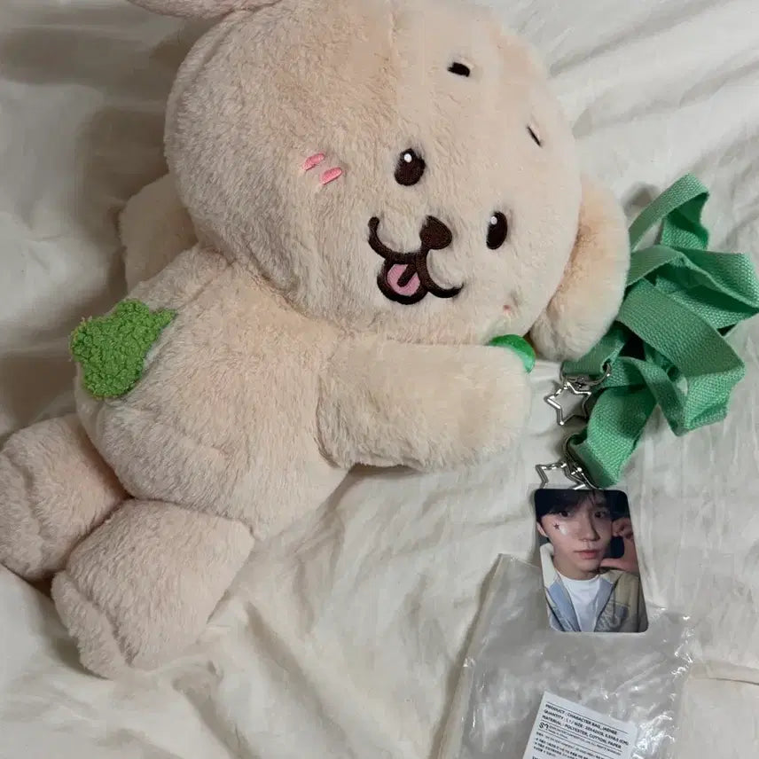 [BUNJANG] NCT WISH Jaehee Login Bag D'antichever / 오늘만 가격인하)엔시티위시 로그인 가방 댕트리버 재희