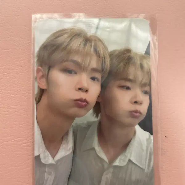[BUNJANG] Siroo Pop-up Lucky Draw Yechan Photocard / 시루 팝업 5만원 포카 - 루시 예찬