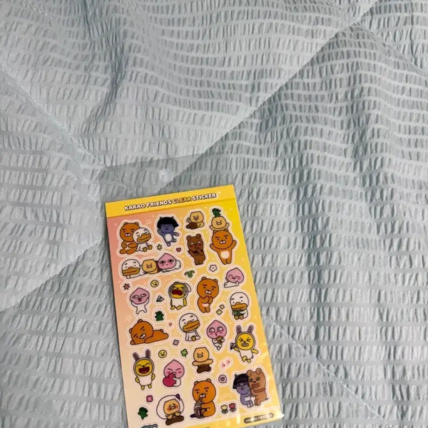 [BUNJANG] Kakao Friends Transparent Sticker Set / 카카오프렌즈 스티커 판매