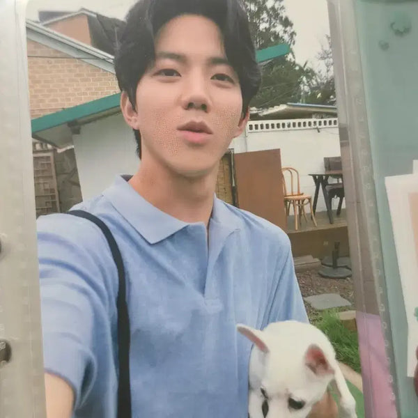 [BUNJANG] Day6 Dowoon Mundeuk Tori Photocard / 데이식스 도운 문득 토리 포카