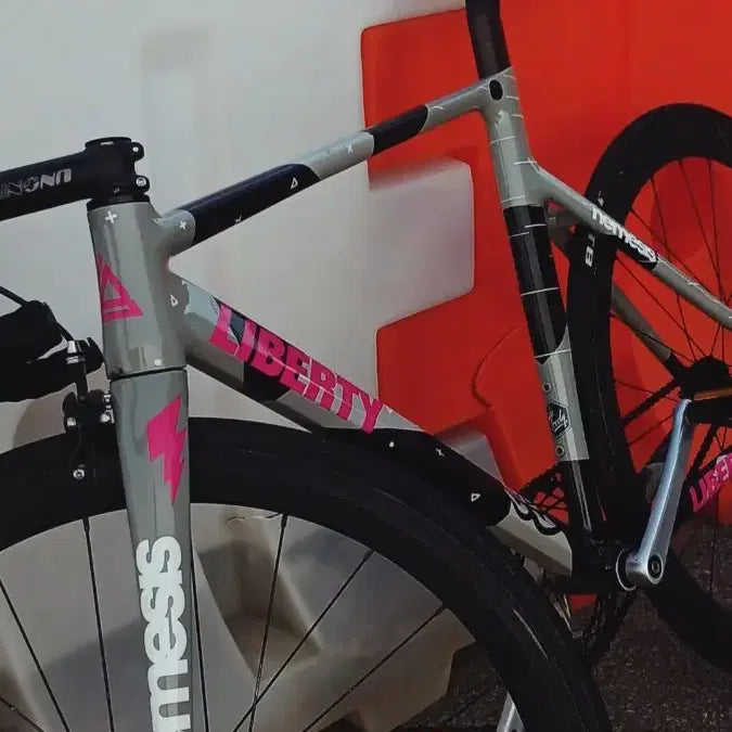 [BUNJANG] Liberty Pixie Carbon Fork Road Bike / 리버티 픽시 자전거