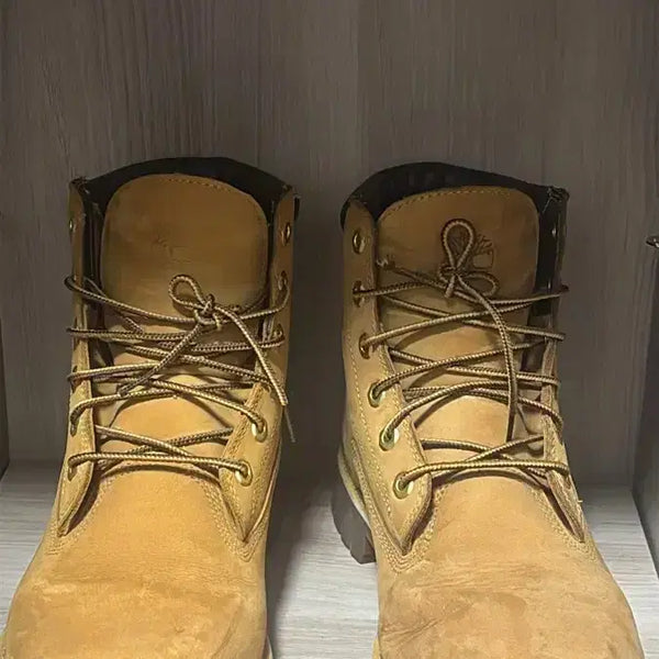 [BUNJANG] Timberland 6-Inch Basic Boots Wheat Nubuck / 팀버랜드 6인치 베이직 부츠 위트 누벅 275