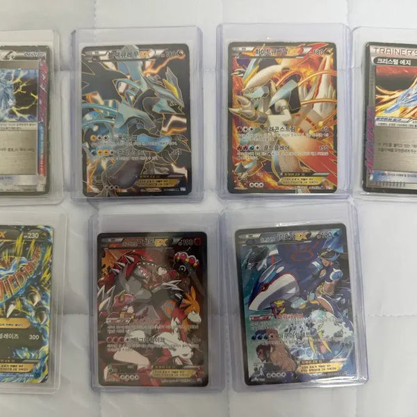 [BUNJANG] Pokemon Cards Bundle Set - Black Kyurem SR, White Kyurem EX, Charizard EX, Groudon EX, Kyogre EX / 블랙,화이트 쿠레뮤sr , 리자몽,그란돈,가이오가 일괄 판매