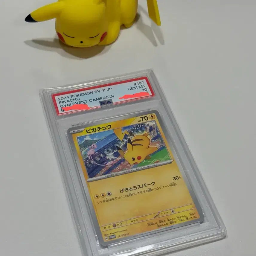 [BUNJANG] Pokemon Pikachu Gym Promo PSA 10 / 포켓몬 카드 psa10 피카츄 짐프로모 (판매,교환)