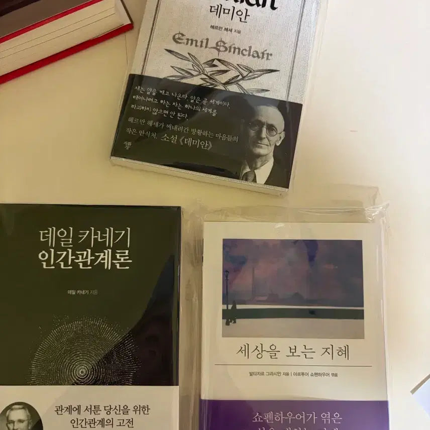 [BUNJANG] Demian, Dale Carnegie, Schopenhauer Books / 데미안 데일 카네기 쇼펜하우어