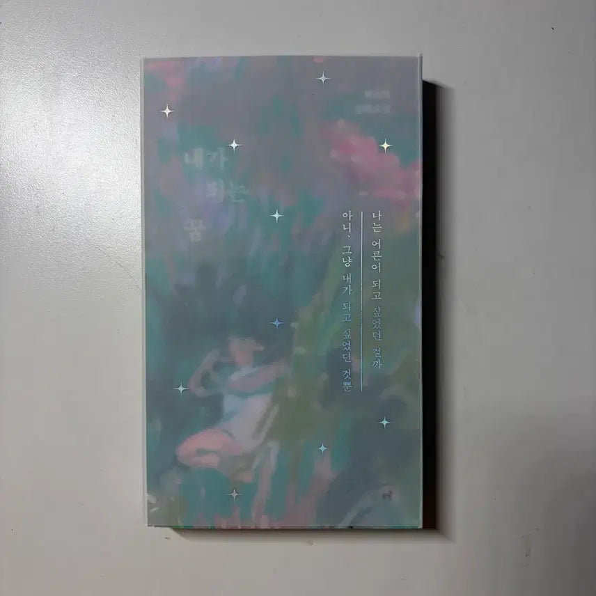 [BUNJANG] Choi Jin-young The Dream I Became Recovery Edition Novel / 내가 되는 꿈 리커버 최진영 소설책